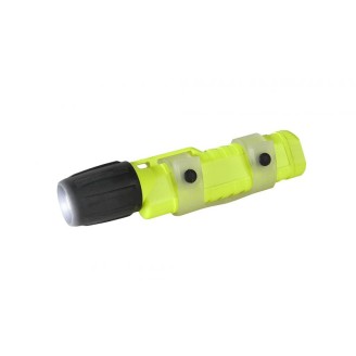 Sea Turtle Pak